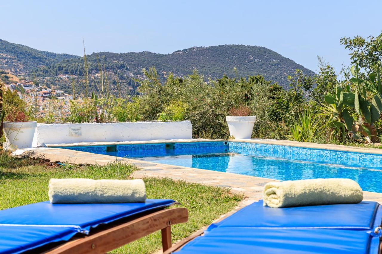 Villa Rodia With Swimming Pool On Skopelos Island Exterior foto
